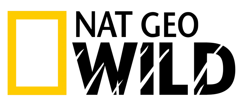 Meilleur abonnement IPTV en France 4K